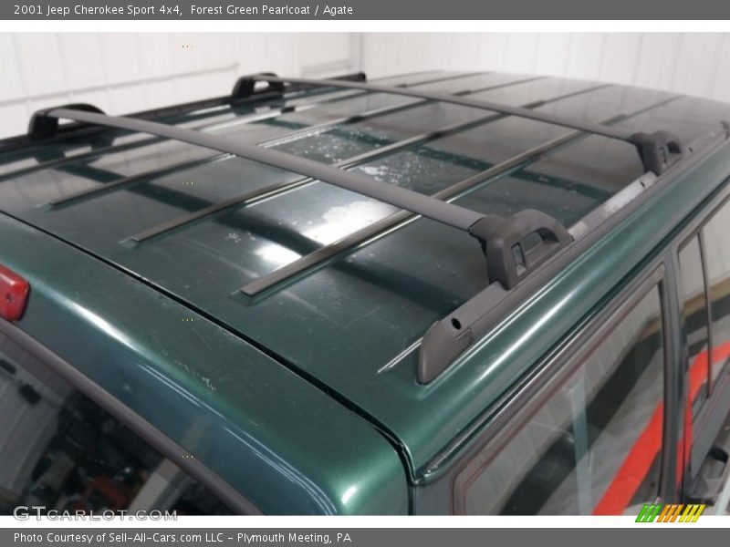 Forest Green Pearlcoat / Agate 2001 Jeep Cherokee Sport 4x4