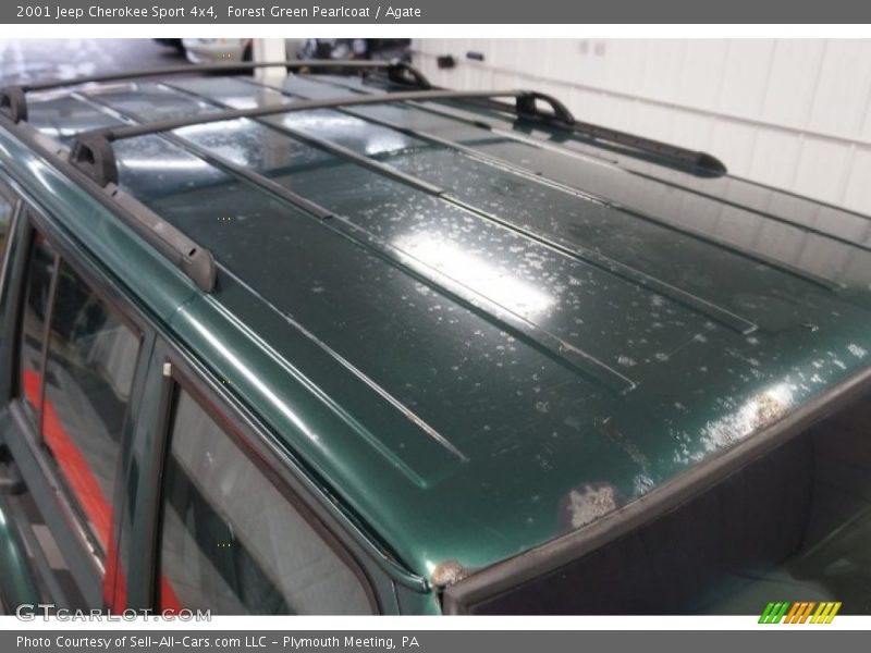 Forest Green Pearlcoat / Agate 2001 Jeep Cherokee Sport 4x4
