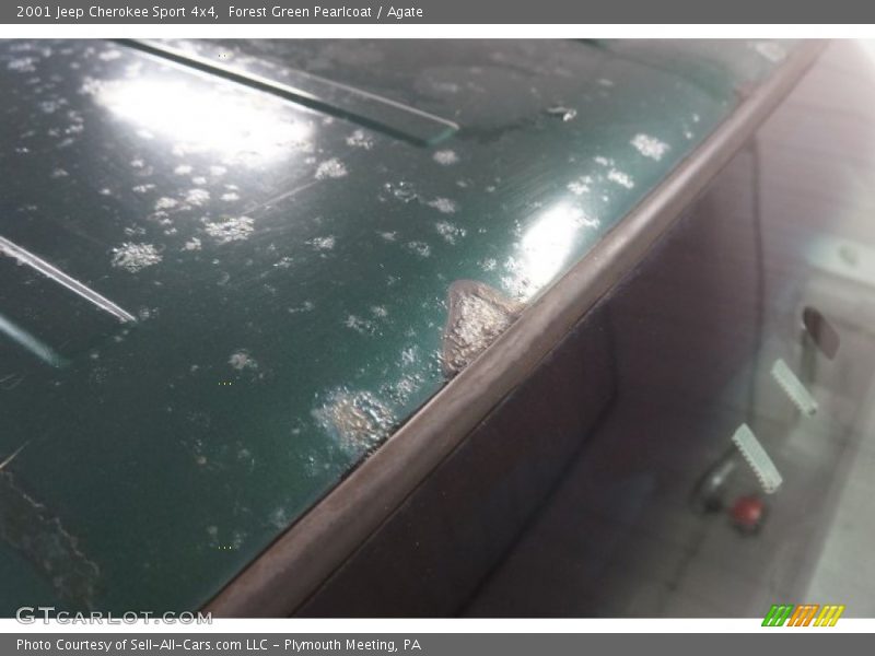 Forest Green Pearlcoat / Agate 2001 Jeep Cherokee Sport 4x4