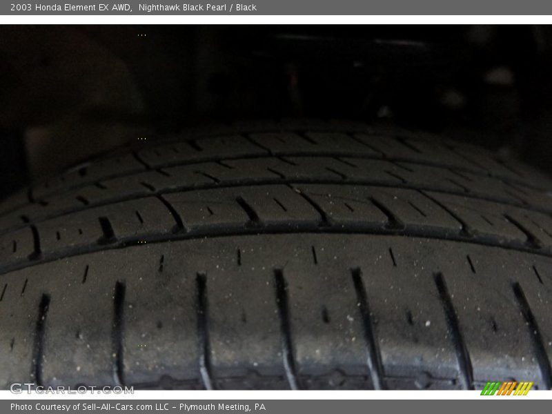 Nighthawk Black Pearl / Black 2003 Honda Element EX AWD