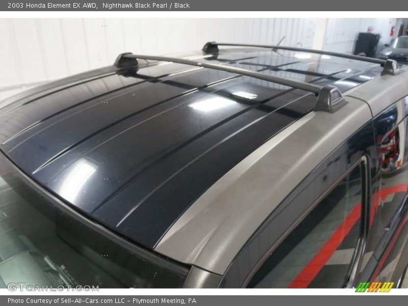 Nighthawk Black Pearl / Black 2003 Honda Element EX AWD