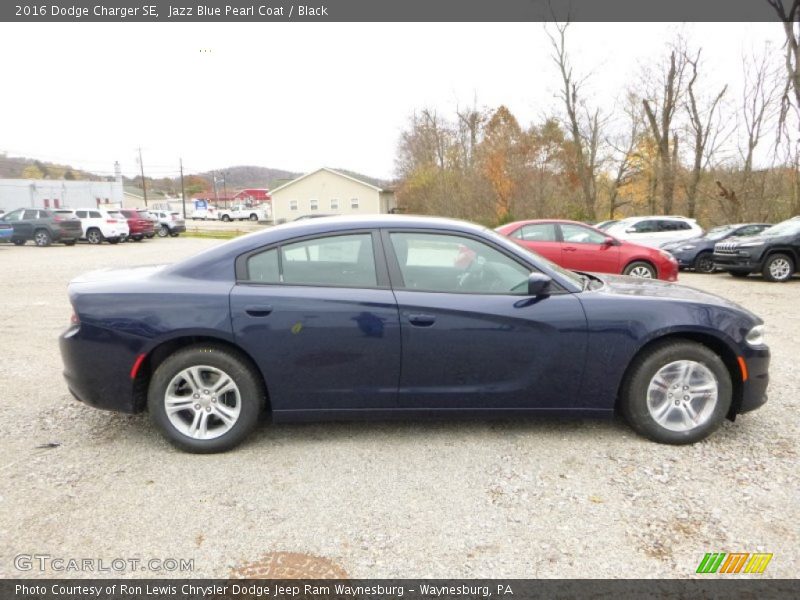 Jazz Blue Pearl Coat / Black 2016 Dodge Charger SE