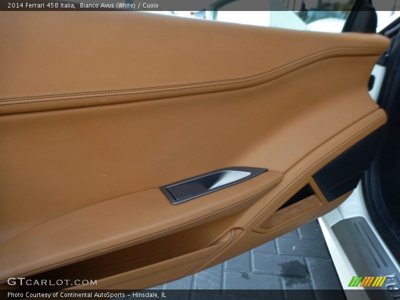 Door Panel of 2014 458 Italia