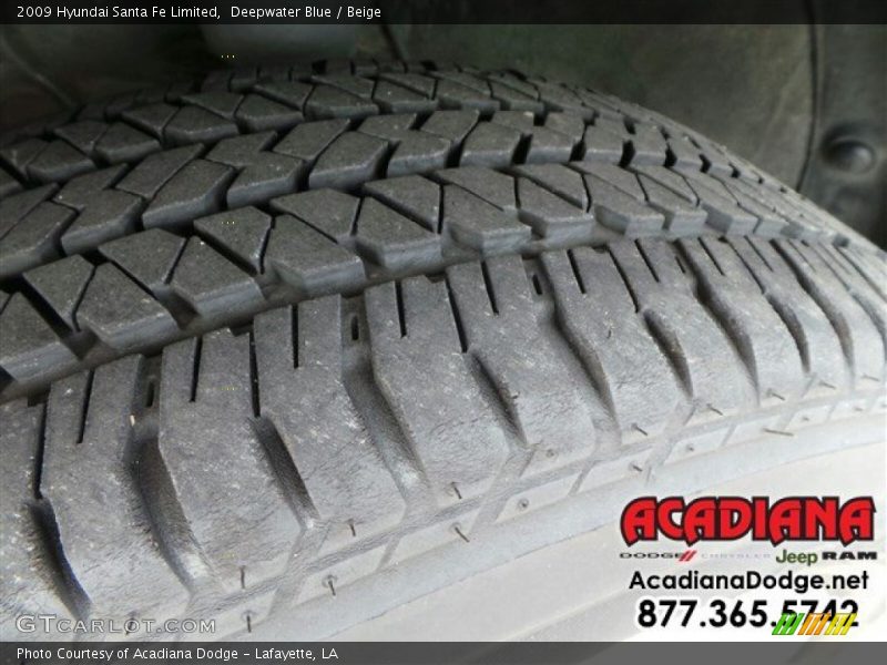Deepwater Blue / Beige 2009 Hyundai Santa Fe Limited