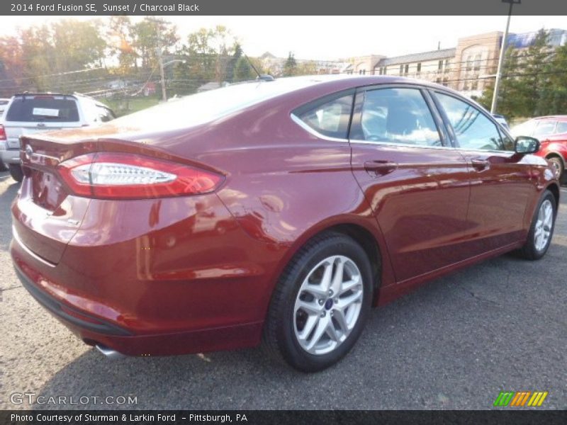 Sunset / Charcoal Black 2014 Ford Fusion SE