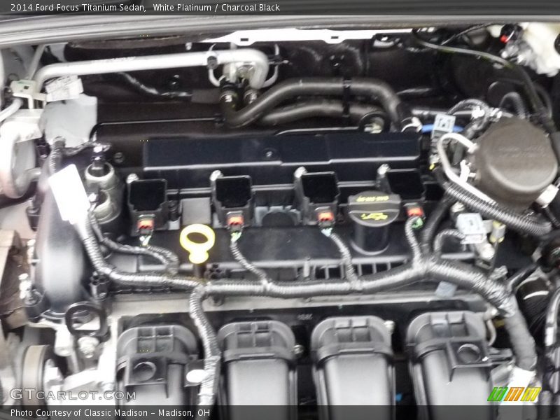 White Platinum / Charcoal Black 2014 Ford Focus Titanium Sedan