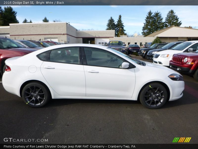 Bright White / Black 2016 Dodge Dart SE