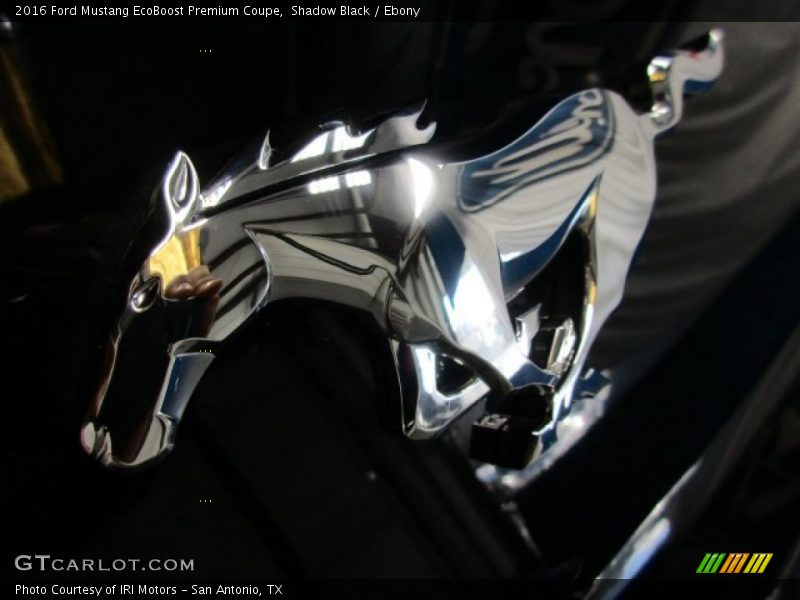Shadow Black / Ebony 2016 Ford Mustang EcoBoost Premium Coupe