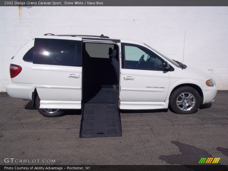 Stone White / Navy Blue 2002 Dodge Grand Caravan Sport