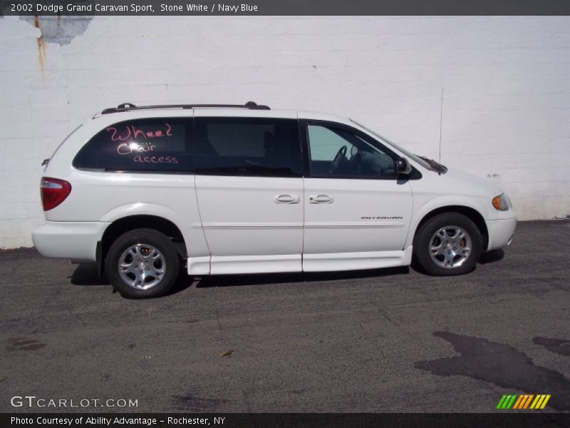 Stone White / Navy Blue 2002 Dodge Grand Caravan Sport