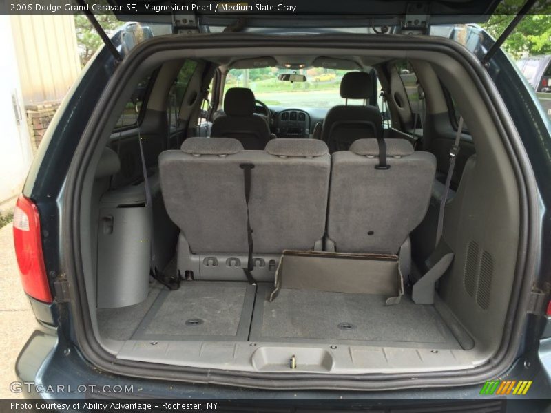 Magnesium Pearl / Medium Slate Gray 2006 Dodge Grand Caravan SE