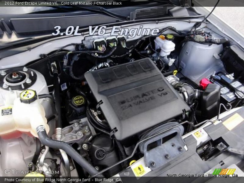 Gold Leaf Metallic / Charcoal Black 2012 Ford Escape Limited V6