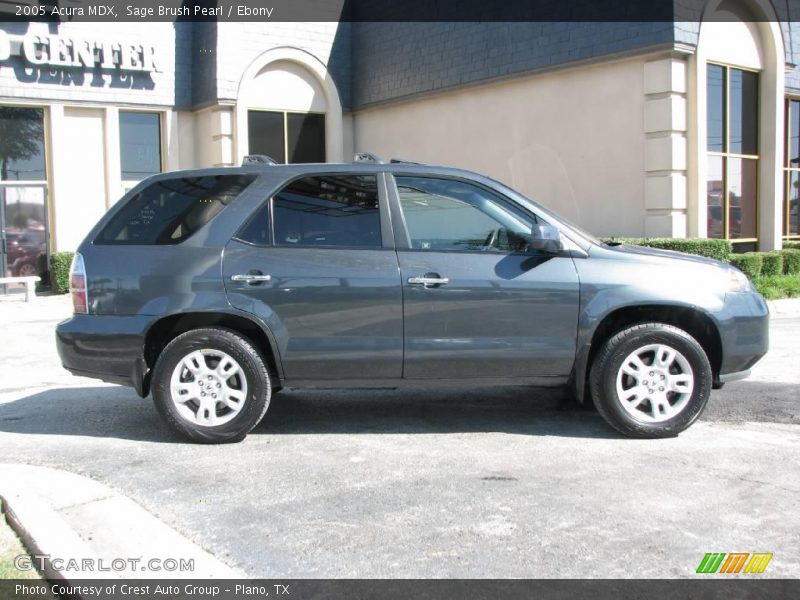 Sage Brush Pearl / Ebony 2005 Acura MDX