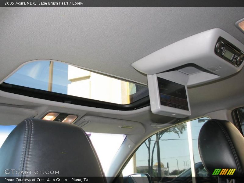 Sage Brush Pearl / Ebony 2005 Acura MDX