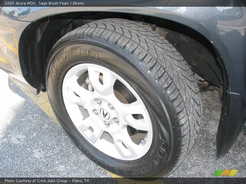 Sage Brush Pearl / Ebony 2005 Acura MDX