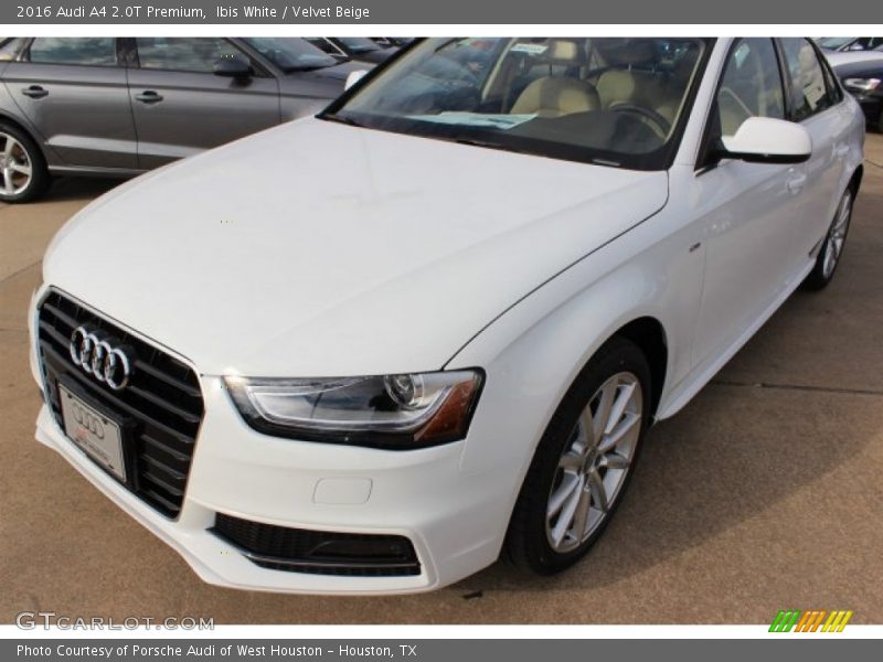 Ibis White / Velvet Beige 2016 Audi A4 2.0T Premium