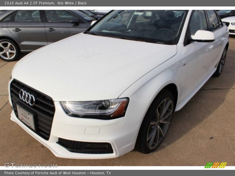 Ibis White / Black 2016 Audi A4 2.0T Premium