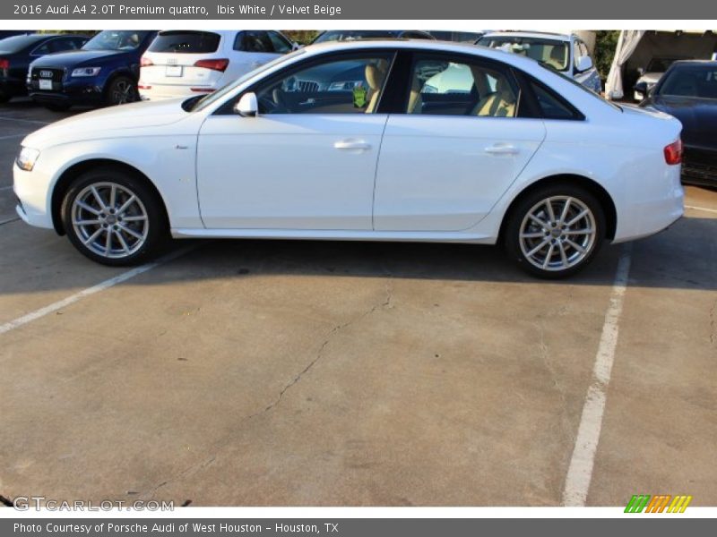 Ibis White / Velvet Beige 2016 Audi A4 2.0T Premium quattro