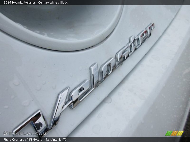 Century White / Black 2016 Hyundai Veloster
