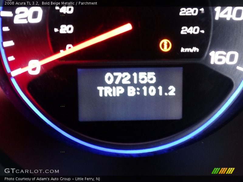 Bold Beige Metallic / Parchment 2008 Acura TL 3.2