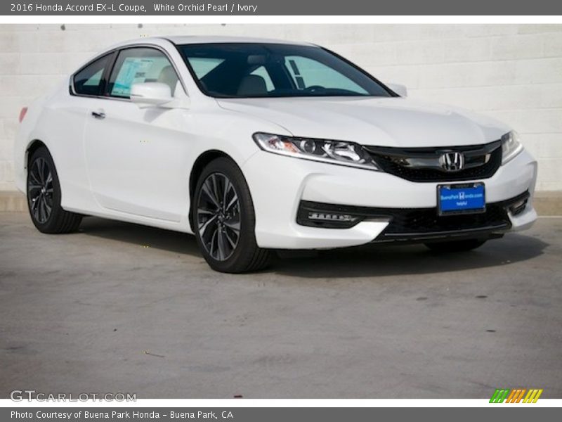 White Orchid Pearl / Ivory 2016 Honda Accord EX-L Coupe