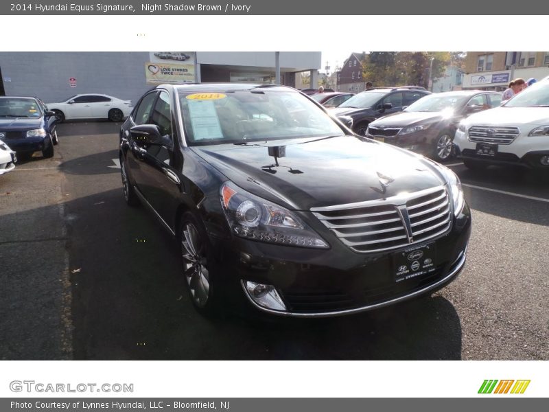Night Shadow Brown / Ivory 2014 Hyundai Equus Signature