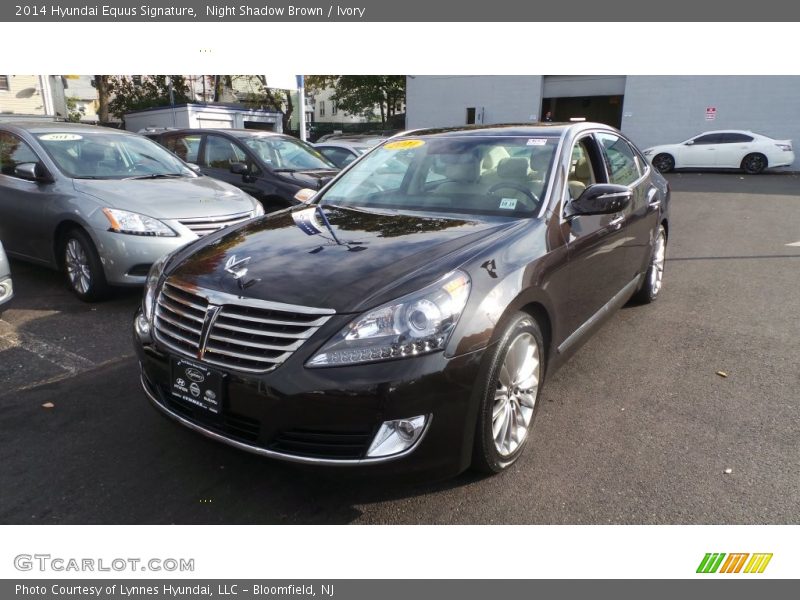 Night Shadow Brown / Ivory 2014 Hyundai Equus Signature