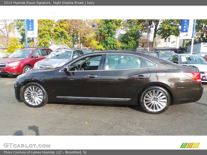 Night Shadow Brown / Ivory 2014 Hyundai Equus Signature