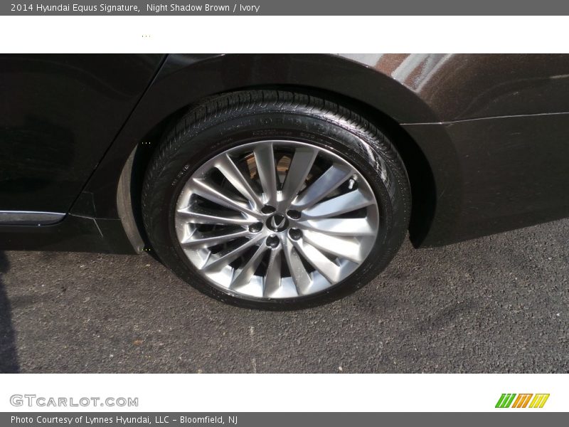 Night Shadow Brown / Ivory 2014 Hyundai Equus Signature