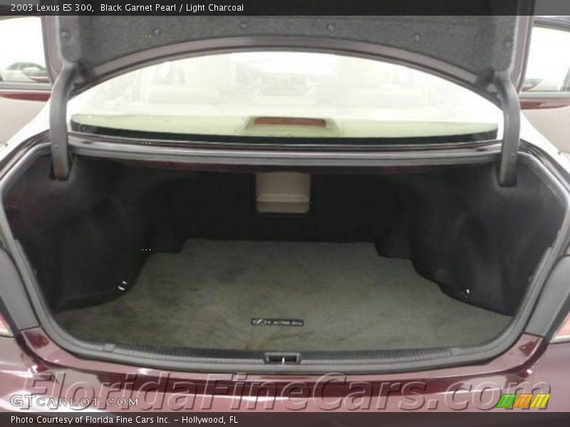 Black Garnet Pearl / Light Charcoal 2003 Lexus ES 300
