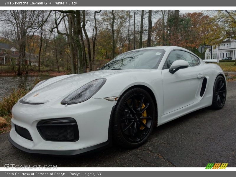 Front 3/4 View of 2016 Cayman GT4