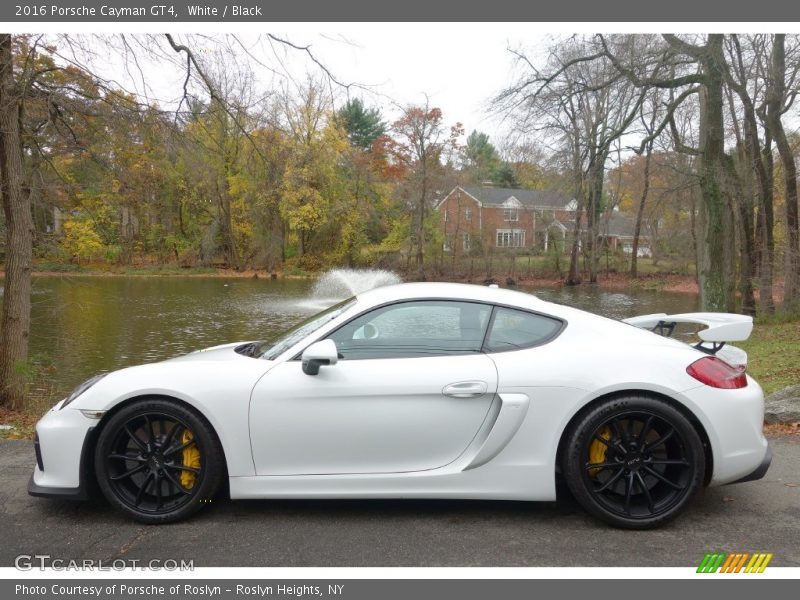  2016 Cayman GT4 White