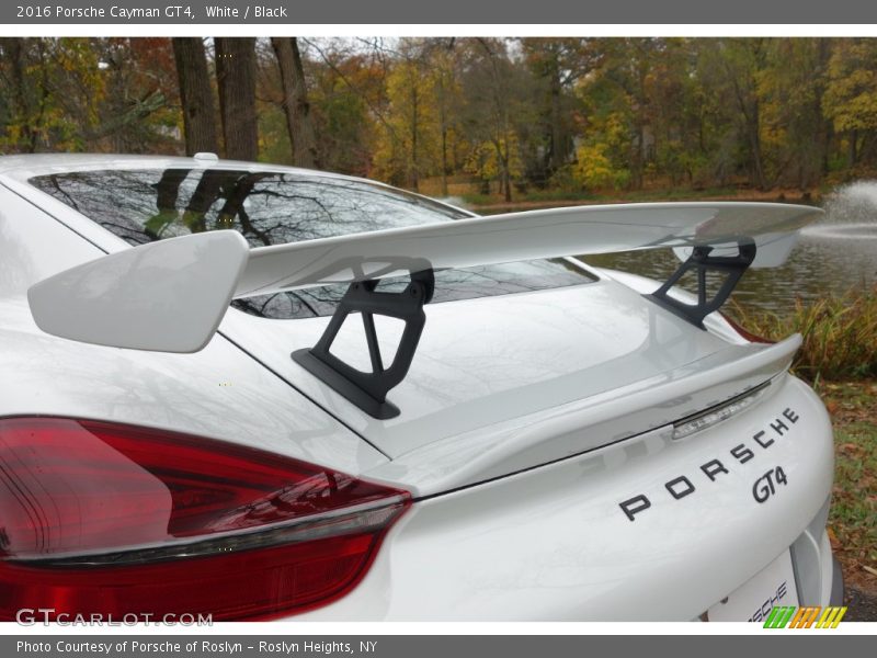 Rear Spoiler - 2016 Porsche Cayman GT4