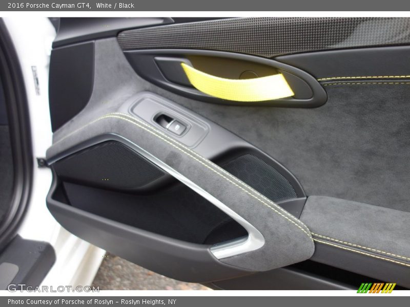 Door Panel of 2016 Cayman GT4