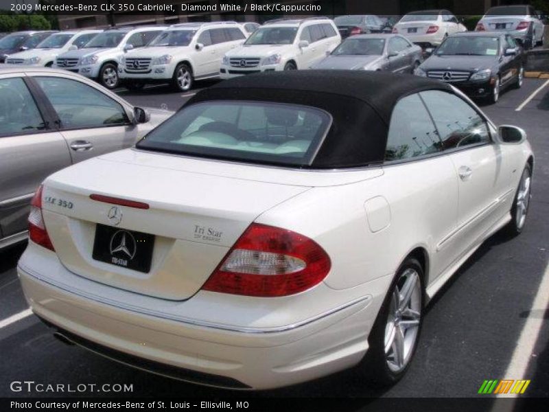 Diamond White / Black/Cappuccino 2009 Mercedes-Benz CLK 350 Cabriolet