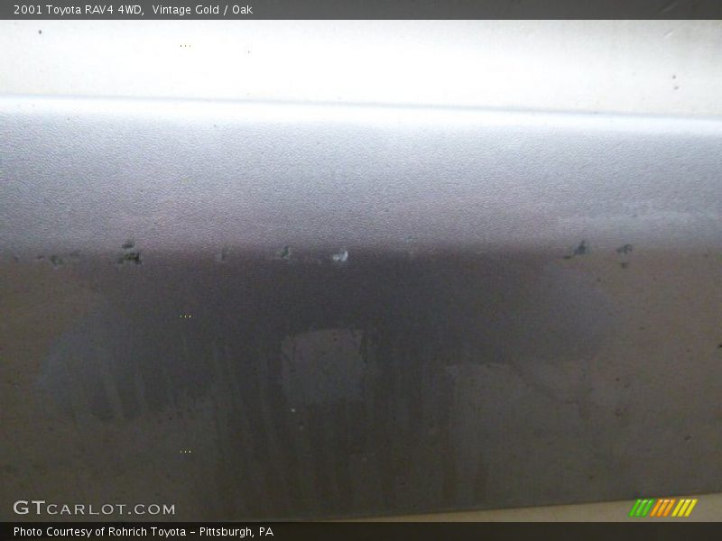 Vintage Gold / Oak 2001 Toyota RAV4 4WD