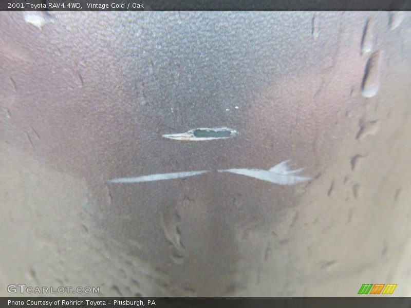 Vintage Gold / Oak 2001 Toyota RAV4 4WD