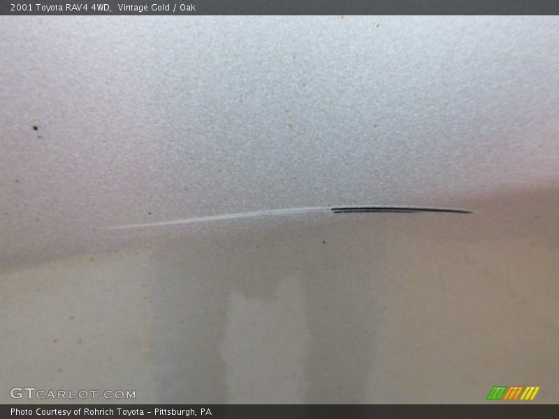 Vintage Gold / Oak 2001 Toyota RAV4 4WD