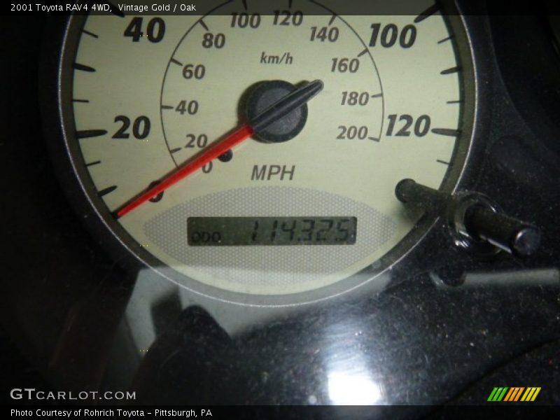 Vintage Gold / Oak 2001 Toyota RAV4 4WD