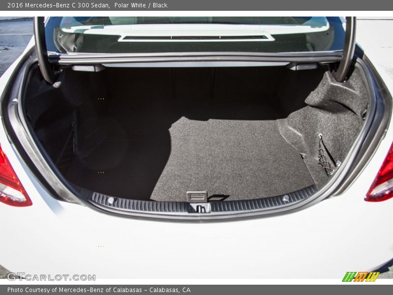 Polar White / Black 2016 Mercedes-Benz C 300 Sedan