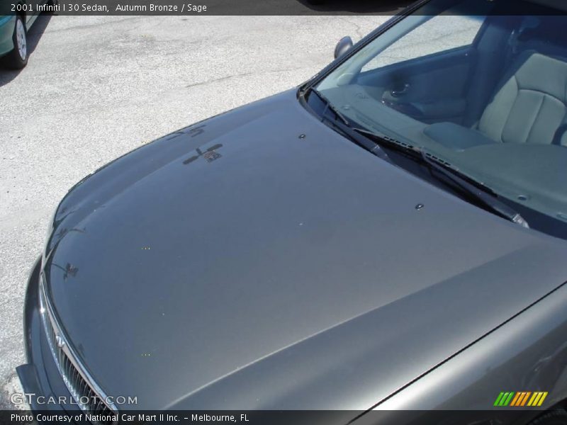 Autumn Bronze / Sage 2001 Infiniti I 30 Sedan