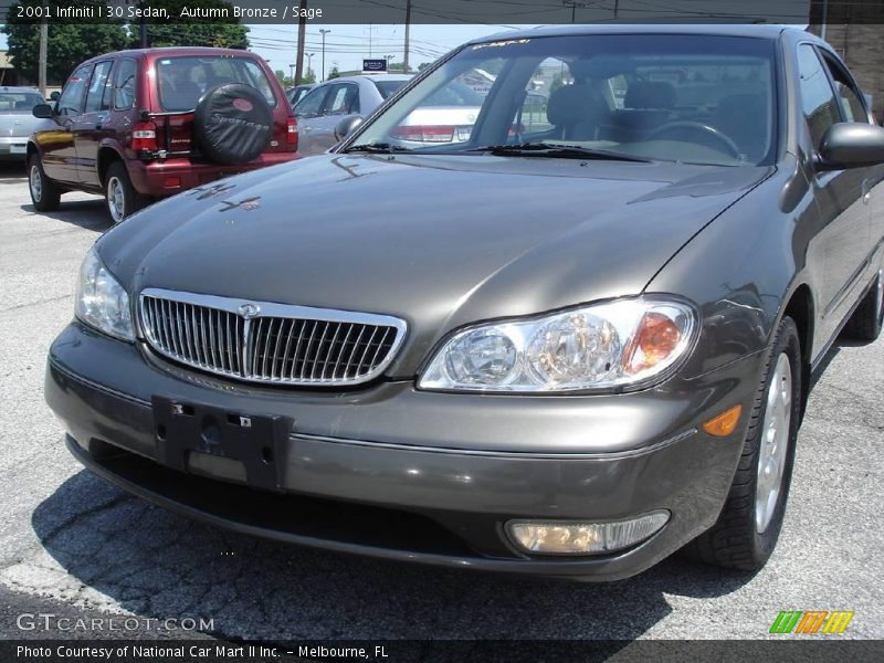 Autumn Bronze / Sage 2001 Infiniti I 30 Sedan