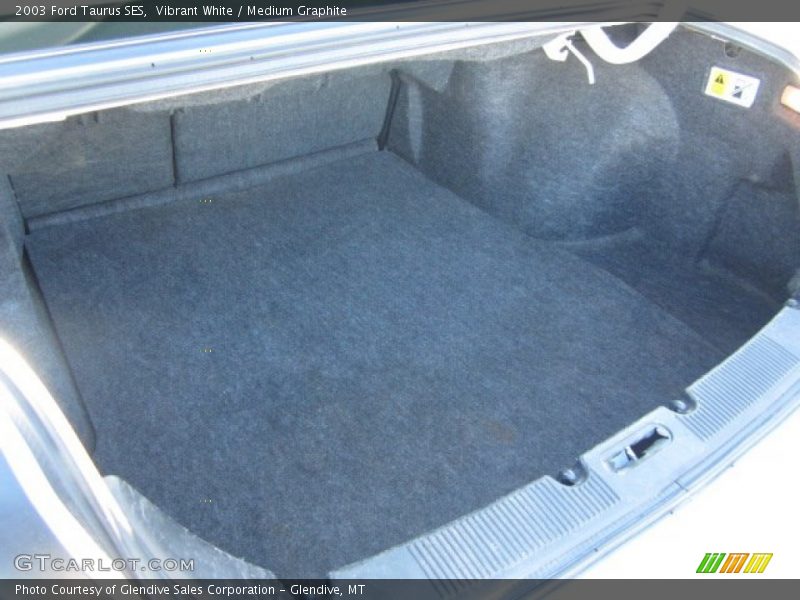 Vibrant White / Medium Graphite 2003 Ford Taurus SES