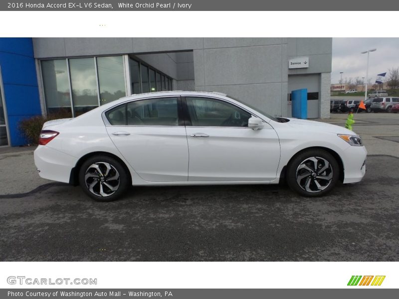 White Orchid Pearl / Ivory 2016 Honda Accord EX-L V6 Sedan