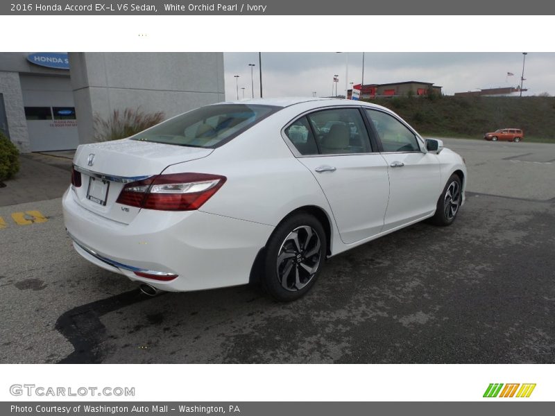White Orchid Pearl / Ivory 2016 Honda Accord EX-L V6 Sedan