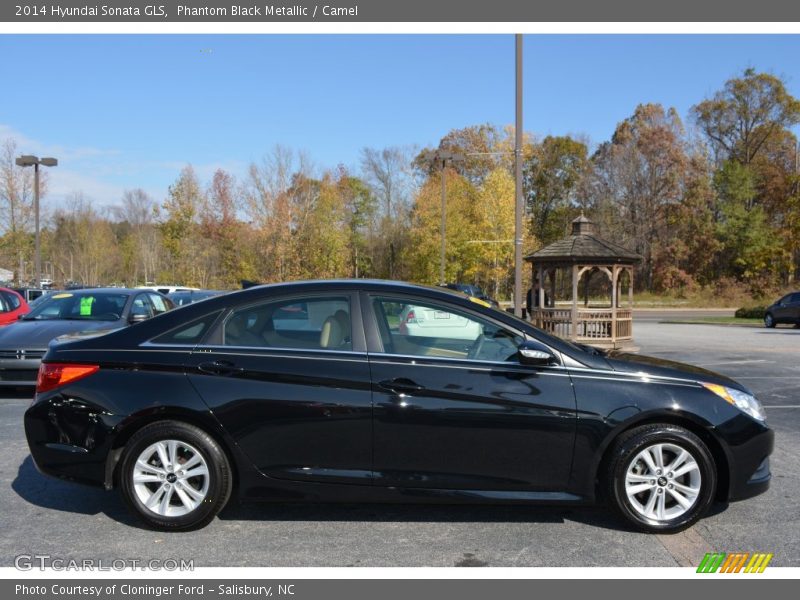 Phantom Black Metallic / Camel 2014 Hyundai Sonata GLS