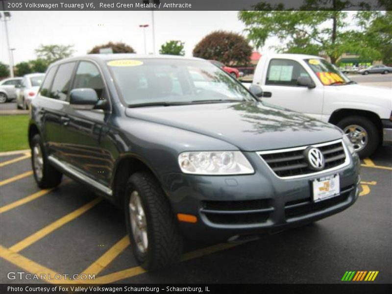 Reed Green Metallic / Anthracite 2005 Volkswagen Touareg V6