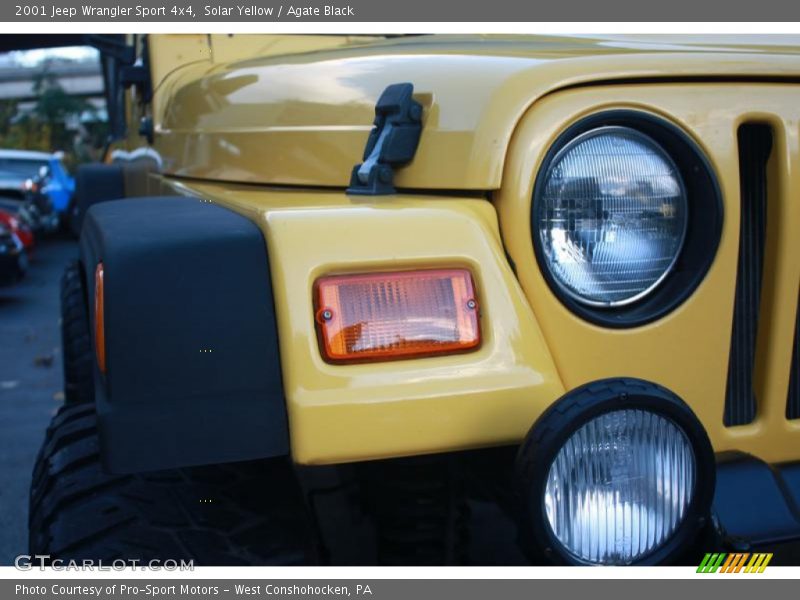 Solar Yellow / Agate Black 2001 Jeep Wrangler Sport 4x4
