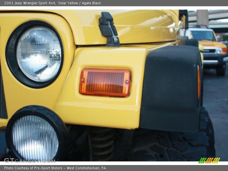 Solar Yellow / Agate Black 2001 Jeep Wrangler Sport 4x4