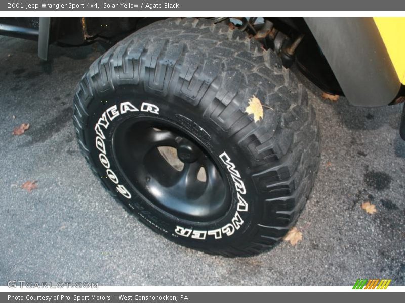 Solar Yellow / Agate Black 2001 Jeep Wrangler Sport 4x4